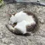 Mのプロフィール画像