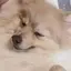 なぎのプロフィール画像