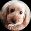 yumiのプロフィール画像