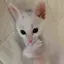 こころのプロフィール画像