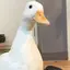 稜のプロフィール画像