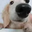 NAGIのプロフィール画像