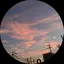 mtomのプロフィール画像