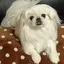 明希のプロフィール画像