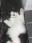 ちのプロフィール画像