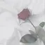 ☺︎のプロフィール画像