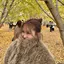 莉夢のプロフィール画像