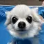 ゆうなのプロフィール画像