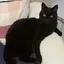 たかはしのプロフィール画像