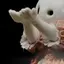 もろのプロフィール画像
