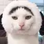 ルカのプロフィール画像