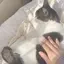 Ririのプロフィール画像