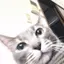 うのプロフィール画像