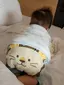 みさってぃのプロフィール画像