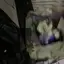 モイのプロフィール画像