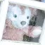 千優のプロフィール画像