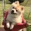 kanaのプロフィール画像