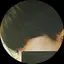 葉月のプロフィール画像