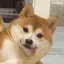 いちのプロフィール画像