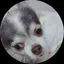 江里のプロフィール画像