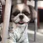 ゆかきちのプロフィール画像