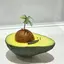 🥑のプロフィール画像