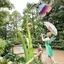 ももものプロフィール画像
