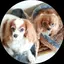 TICAのプロフィール画像