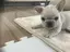 Atsukoのプロフィール画像