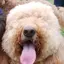 べるくらのプロフィール画像