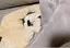 まいのプロフィール画像