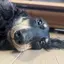 けーすけのプロフィール画像