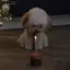 :)のプロフィール画像