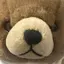 もいのプロフィール画像