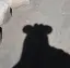 rのプロフィール画像