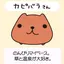 コリたんのプロフィール画像