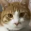 ちのプロフィール画像