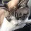 tetoのプロフィール画像