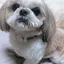 ちのプロフィール画像