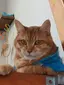 GMのプロフィール画像