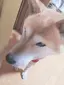沙織のプロフィール画像