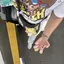 みにたのプロフィール画像