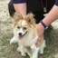 しみしみのプロフィール画像