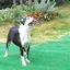 Nのプロフィール画像