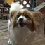 ぱるるのプロフィール画像