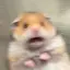 みょのプロフィール画像