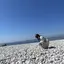 涼のプロフィール画像