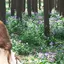 灥のプロフィール画像
