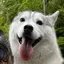 柚南のプロフィール画像