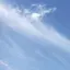沙和のプロフィール画像